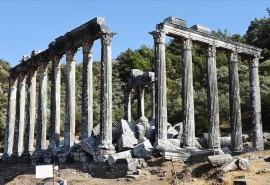 Temple of Zeus Lepsynos