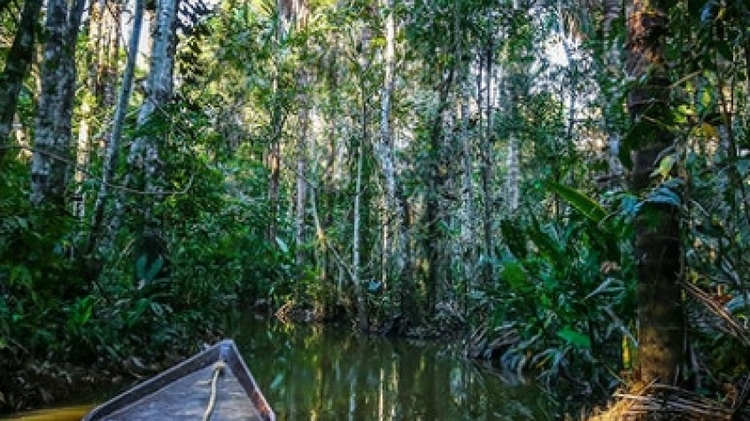 3 Days Tambopata | Sandoval Lake | Parrot Clay Licks