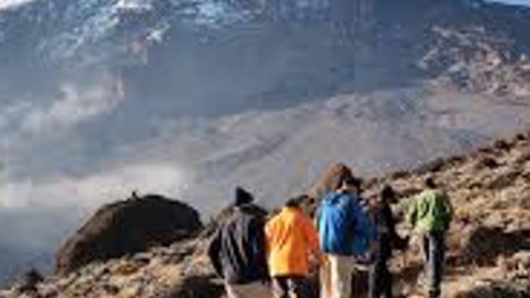 Kilimanjaro Climbing Via Rongai Route 7 Days