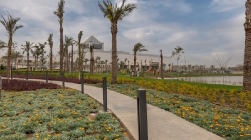 Cairo : National Museum, Egyptian Museum, and Giza Pyramids 1