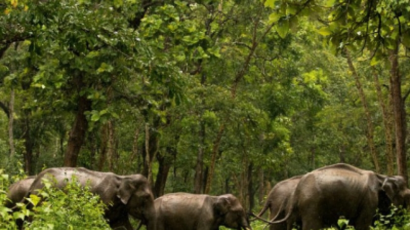 Best of Kerala Tour 4