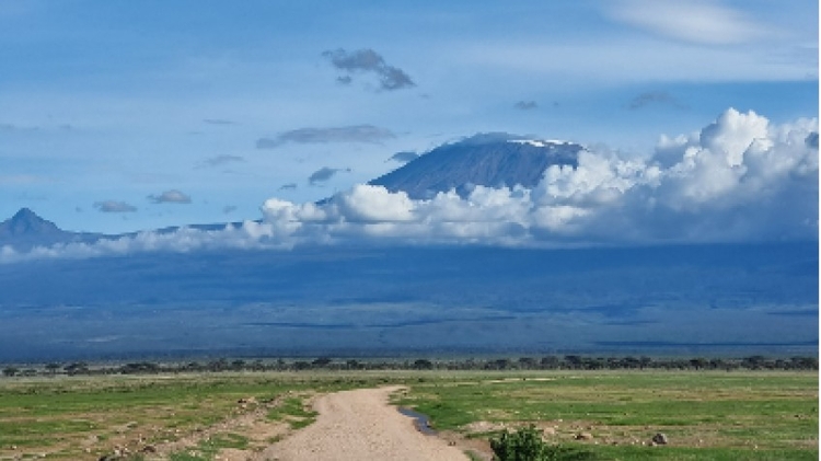 3 Days Amboseli Safari