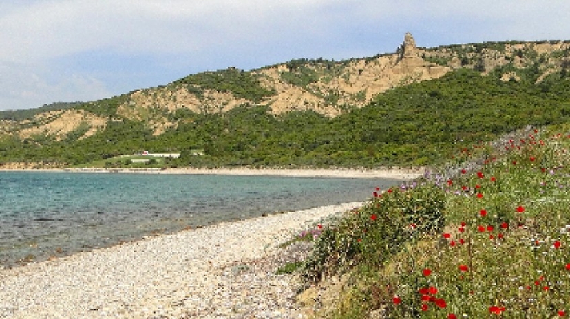 Private Gallipoli Day Tour from Istanbul 3