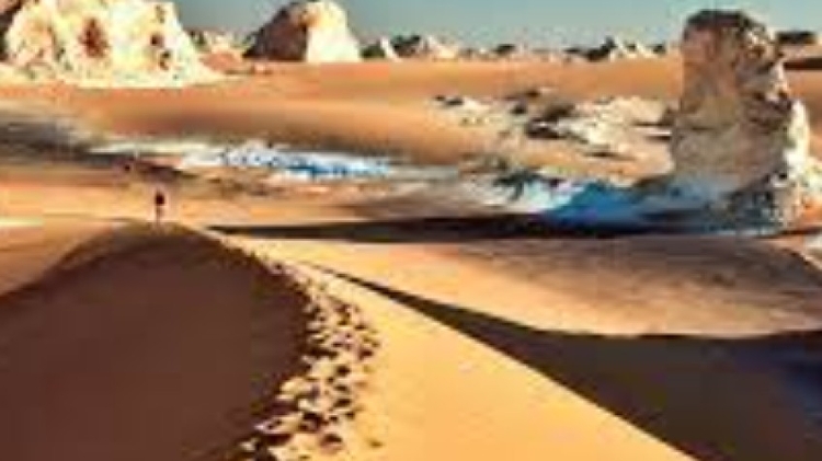 4 Days 3 Nights – Desert Safari Egypt