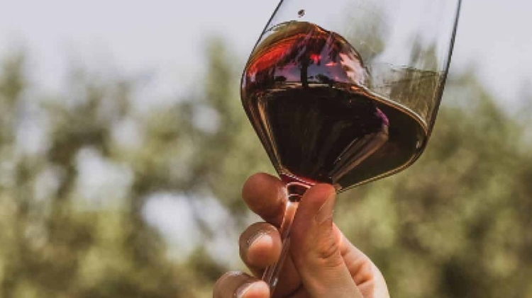 Private Wine Tasting in Manduria