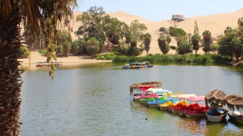 Perú Fantastic 8Days (City Tour Lima, Huacachina Oasis, Sacred Valley, Machu Picchu) 7