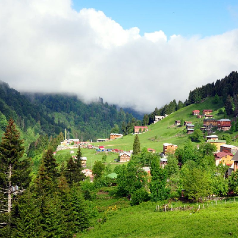 Romantic Honeymoon 7 Days Trabzon & Uzungol 4