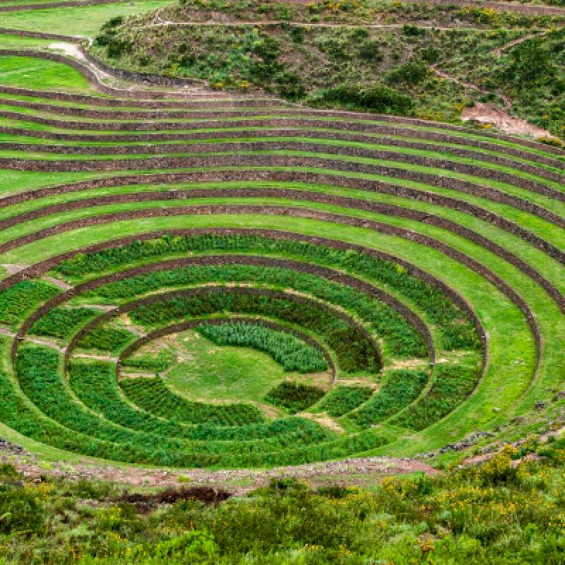 Private Tours 5 Days (Cusco, Machu Picchu, Sacred Valley, Salt Mines of Moray) 8