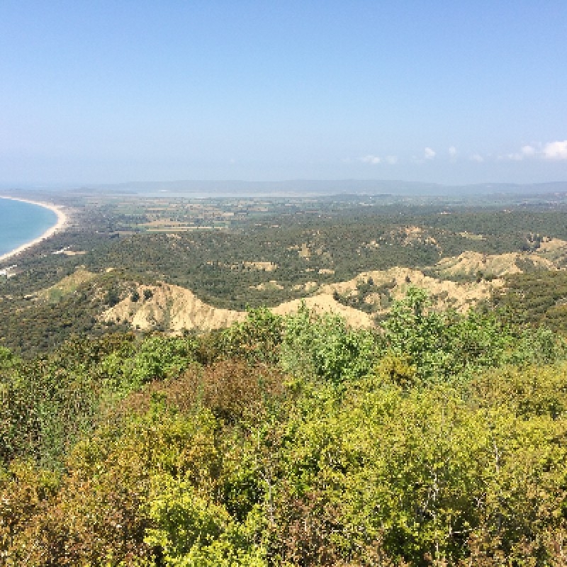 Image 8