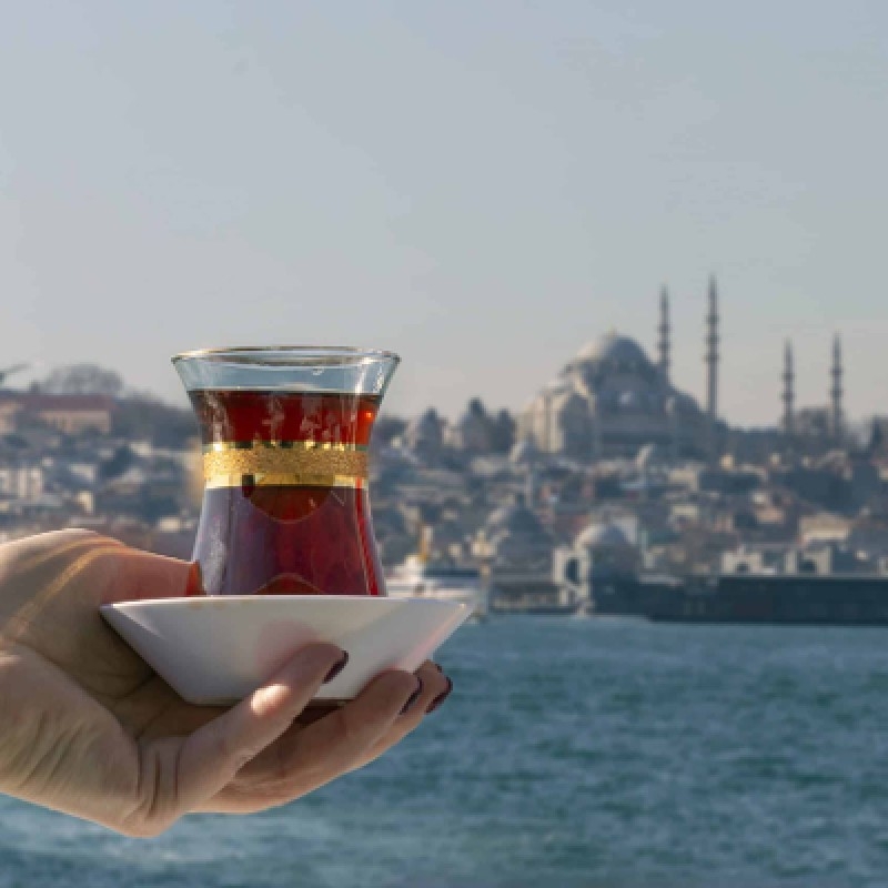 Deal Istanbul Bosphorus Sightseeing Cruises and Tour 8