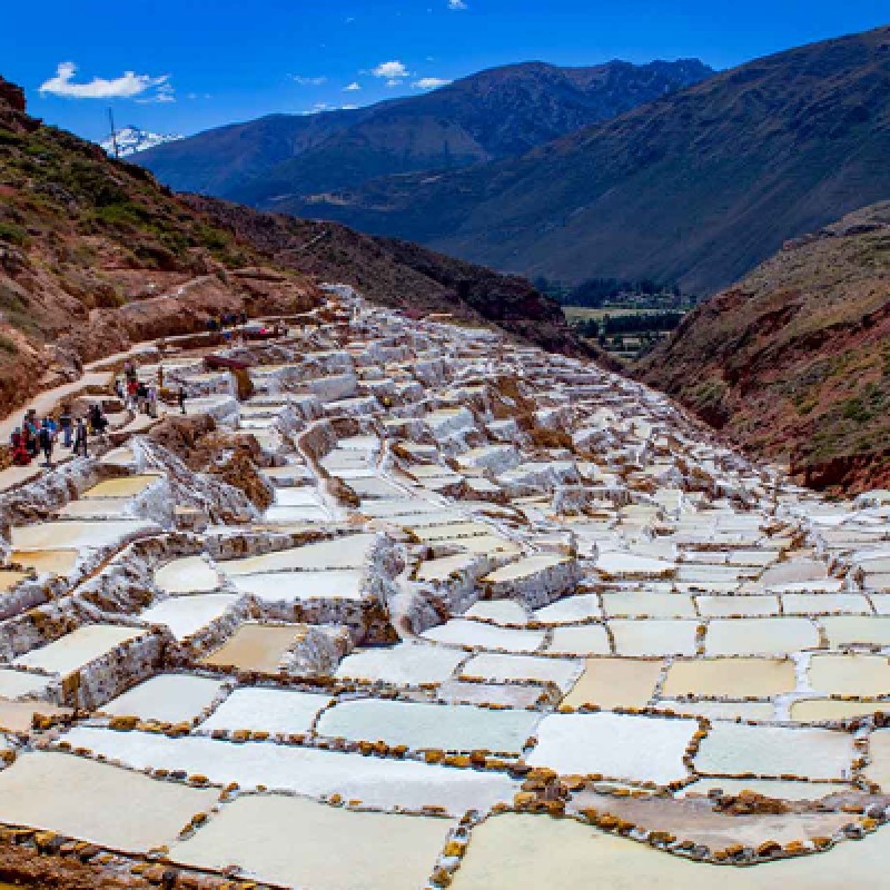 Private Tour 8 Days (Cusco, Sacred Valley, Machu Picchu, Rainbow Mountain,, Qeswachaka Bridge) 8