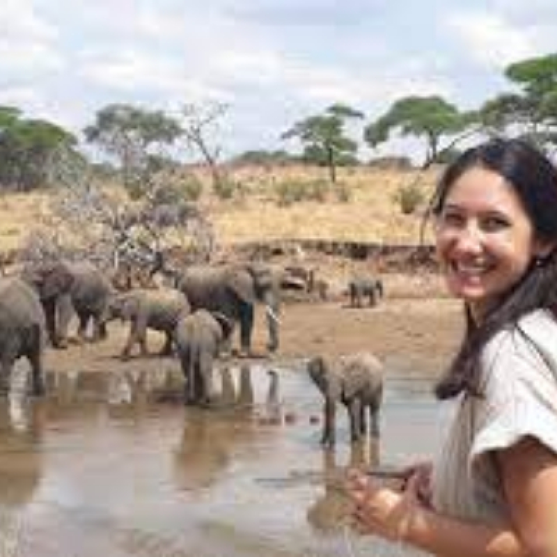 Tanzania Budget Camping Safaris 4