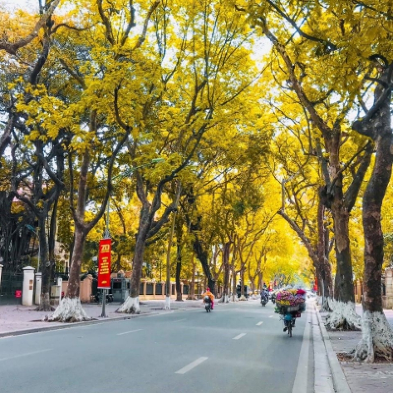 Highlight of Vietnam (12 Days - 11 Nights) 2