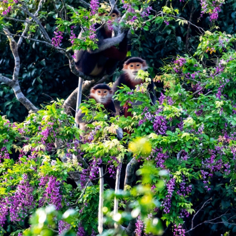 Danang - Hoian - Hue (6 Days - 5 Nights) 3