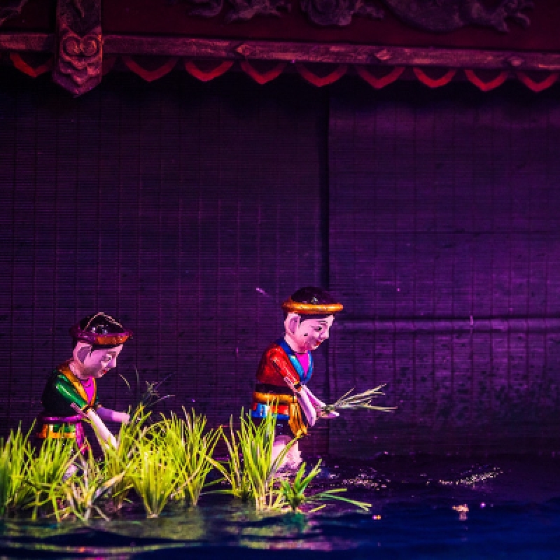 Sai Gon - Phu Quoc - Ha Noi - Ha Long (10 Days - 9 Nights) 7