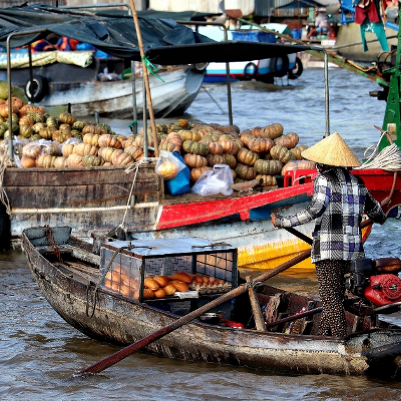 Saigon - Cuchi - Mekong - Danang - Hoian - Hue - Halong - Hanoi (12 Days - 11 Nights) 2