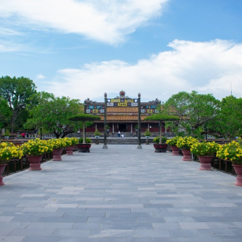Saigon - Cuchi - Mekong - Danang - Hoian - Hue - Halong - Hanoi (12 Days - 11 Nights) 5