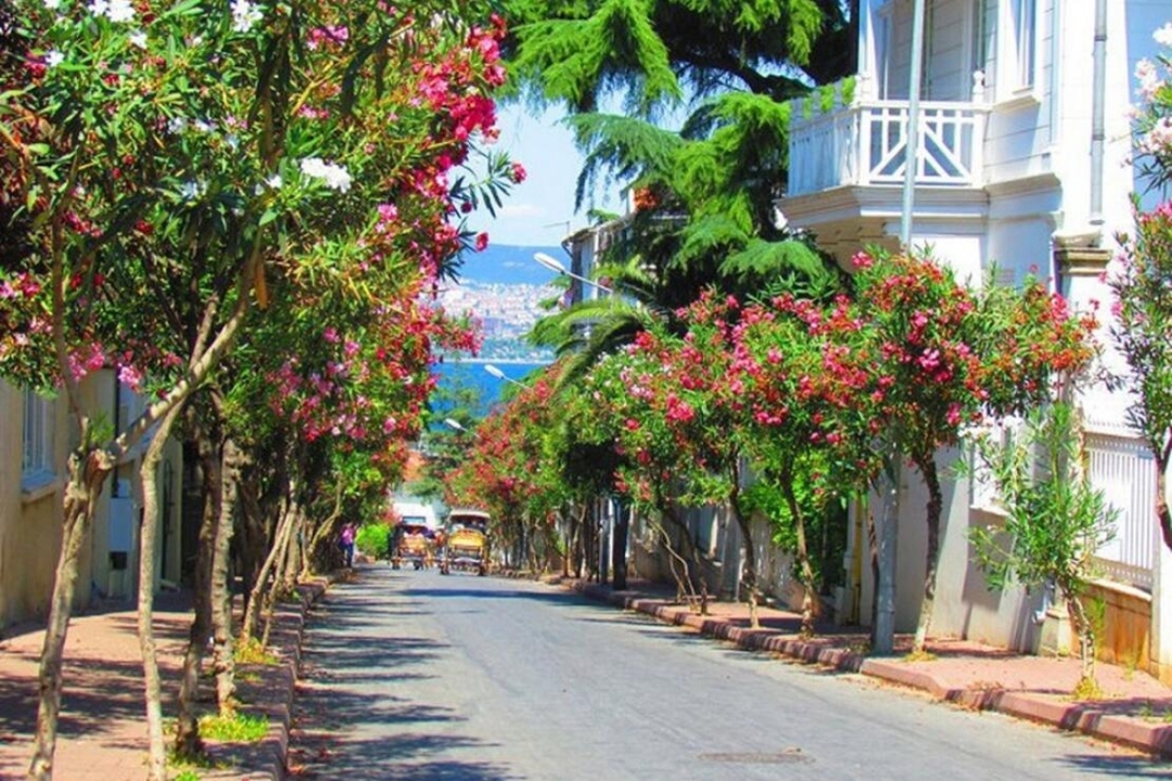 8 Day Family Tour Istanbul 10