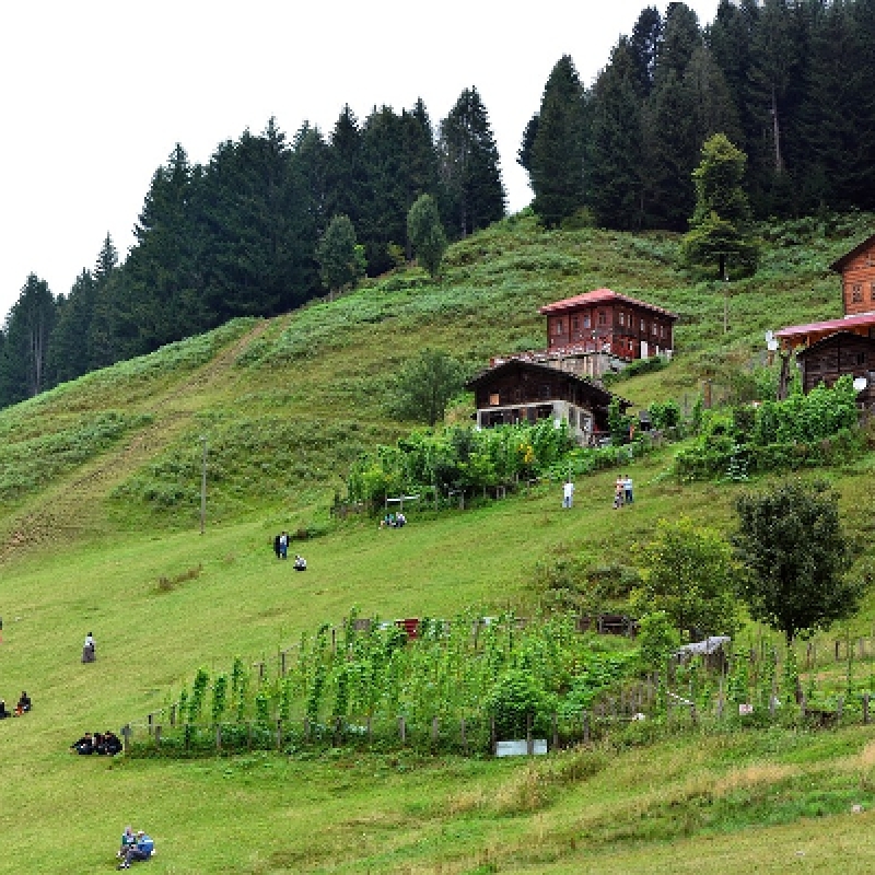 AYDER TOUR 2