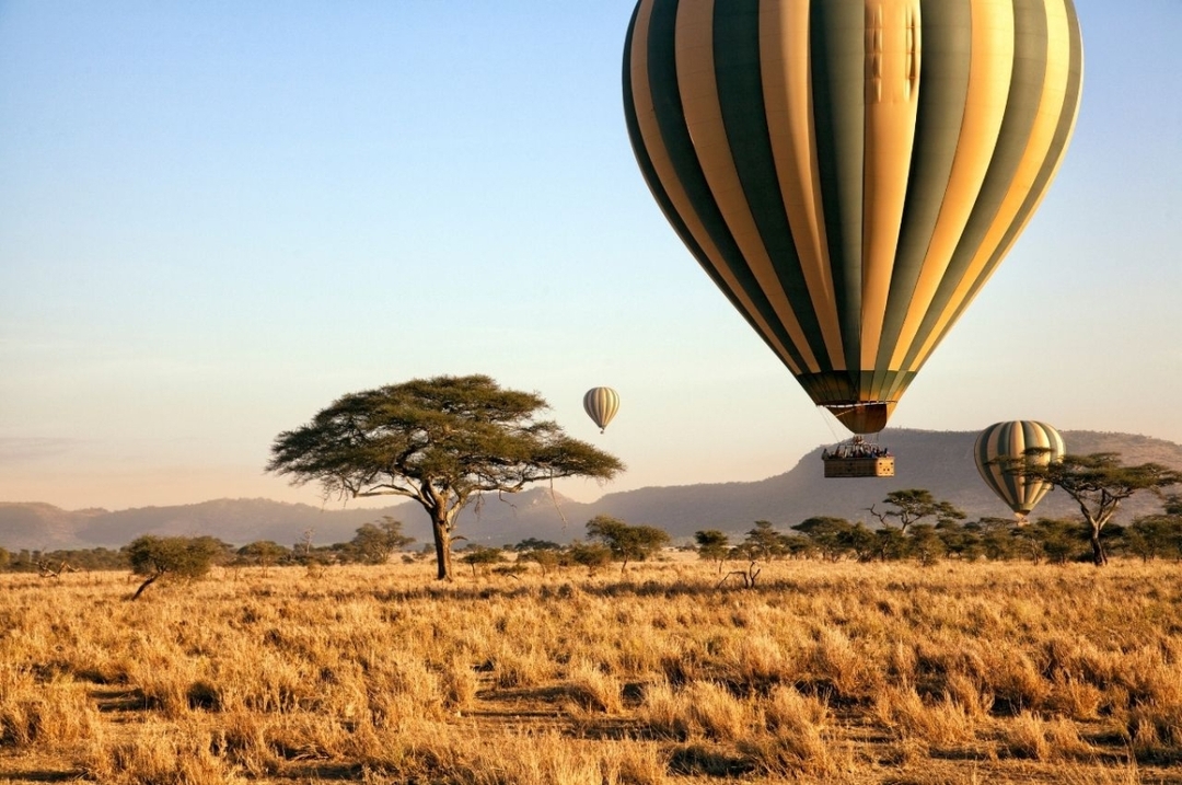 11 Days Safari Tanzania 2