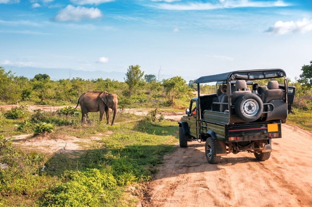 11 Days Safari Tanzania 6