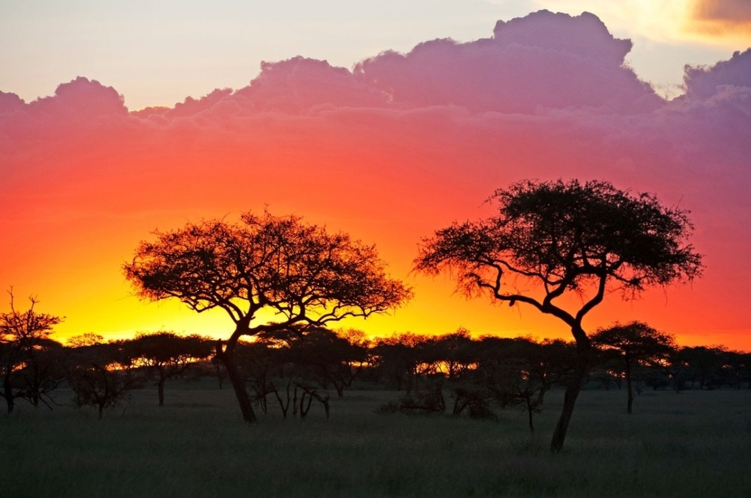11 Days Safari Tanzania 10