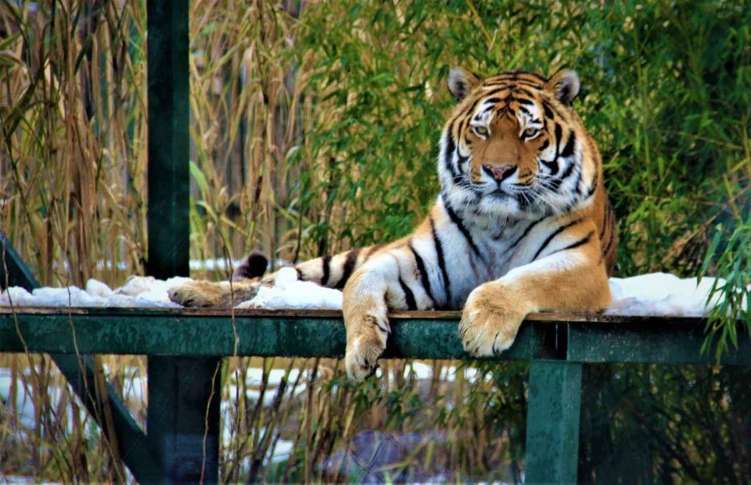 Ulink Natural Discovery Eco Package 6 Day Tours 3