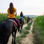 5 Days Horse Riding Package Istanbul Tour
