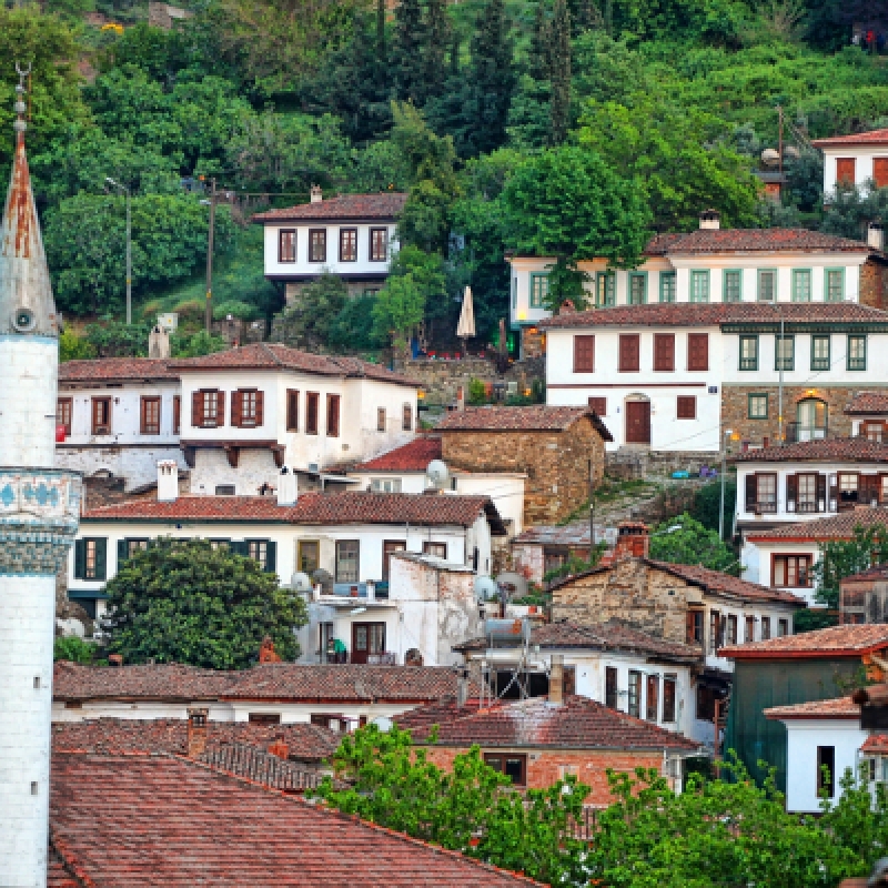 Daily Ephesus & Sirince Tour from Istanbul 5