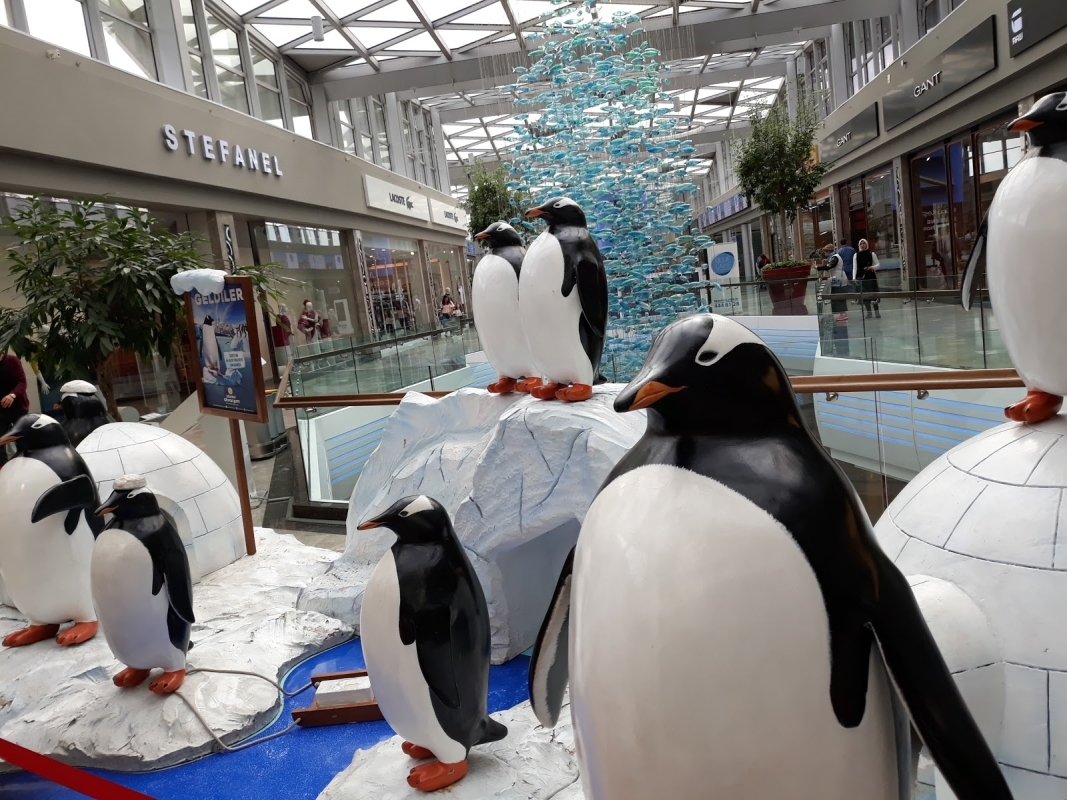 Aquarium & Aqua Florya Shopping Mall Tour Istanbul – Family-Friendly Marine Adventure 8
