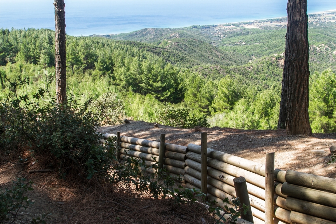Gallipoli Day Trip from Istanbul 5
