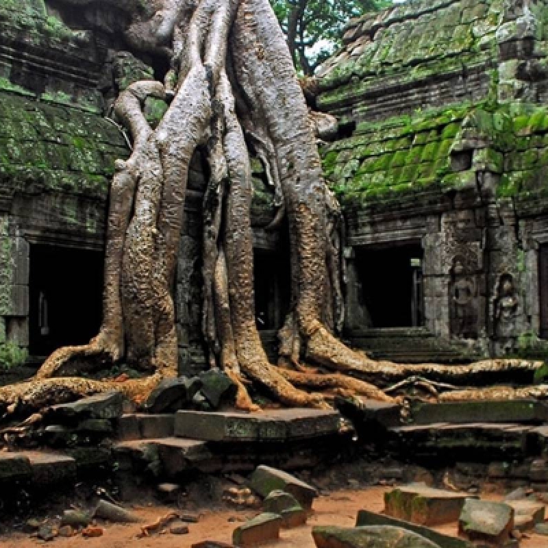 Vietnam and Cambodia Tour in 15 Days 5