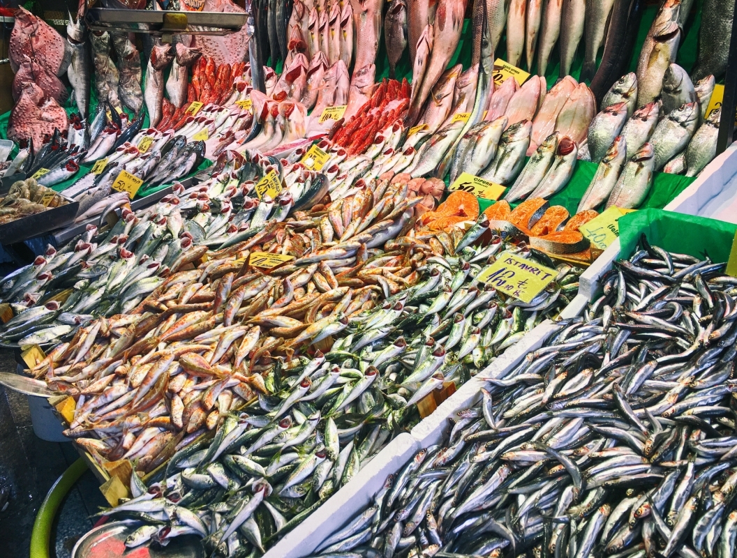 Local Life of Istanbul Tour – Explore Kadıköy, Moda & Authentic Local Experiences 10