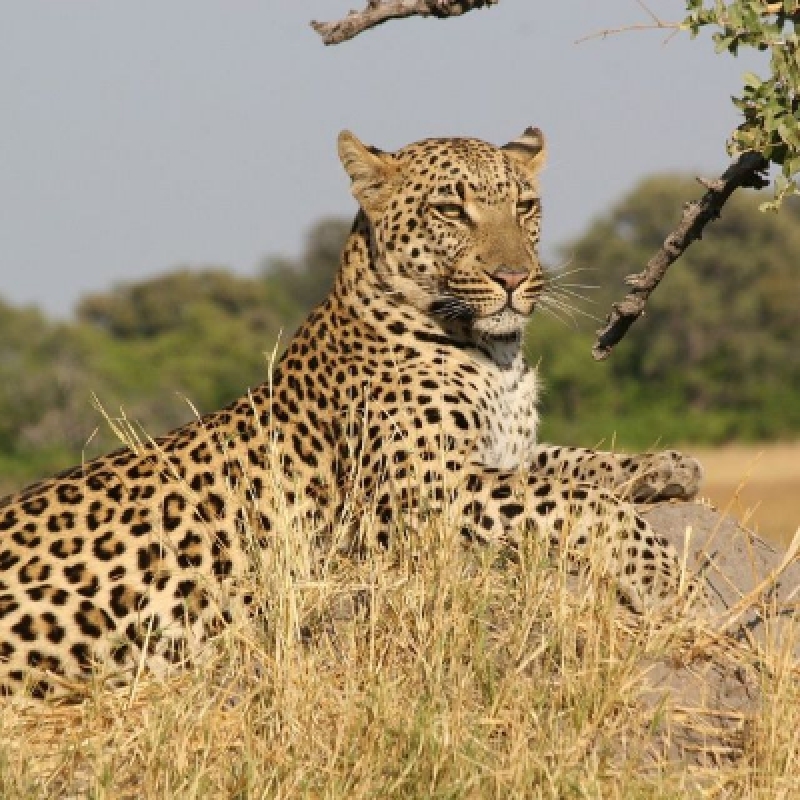 Maasai Mara Adventure: A Thrilling 3-Day Safari from Nairobi 1
