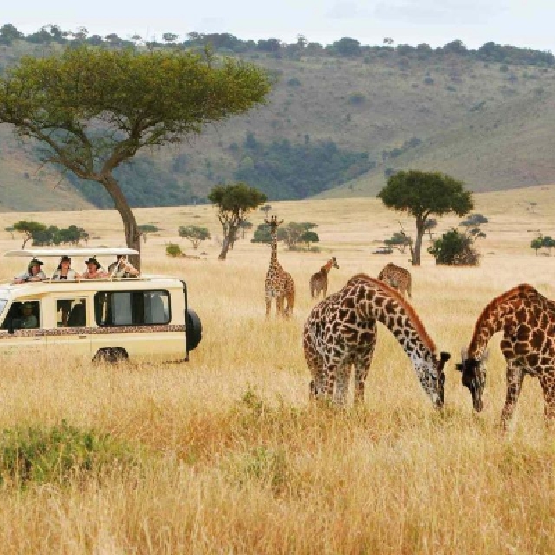 Maasai Mara Adventure: A Thrilling 3-Day Safari from Nairobi 2