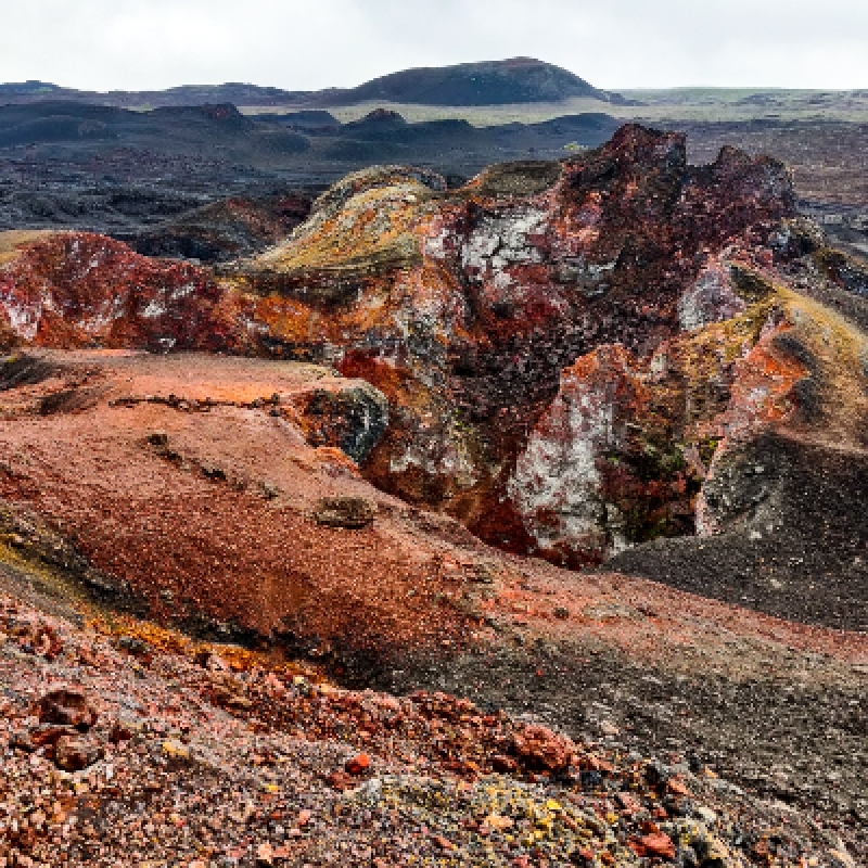 5 Days Galapagos Expedition Tour 4