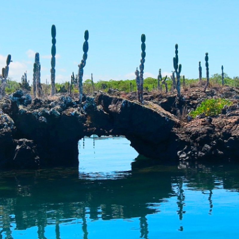 5 Days Galapagos Expedition Tour 5