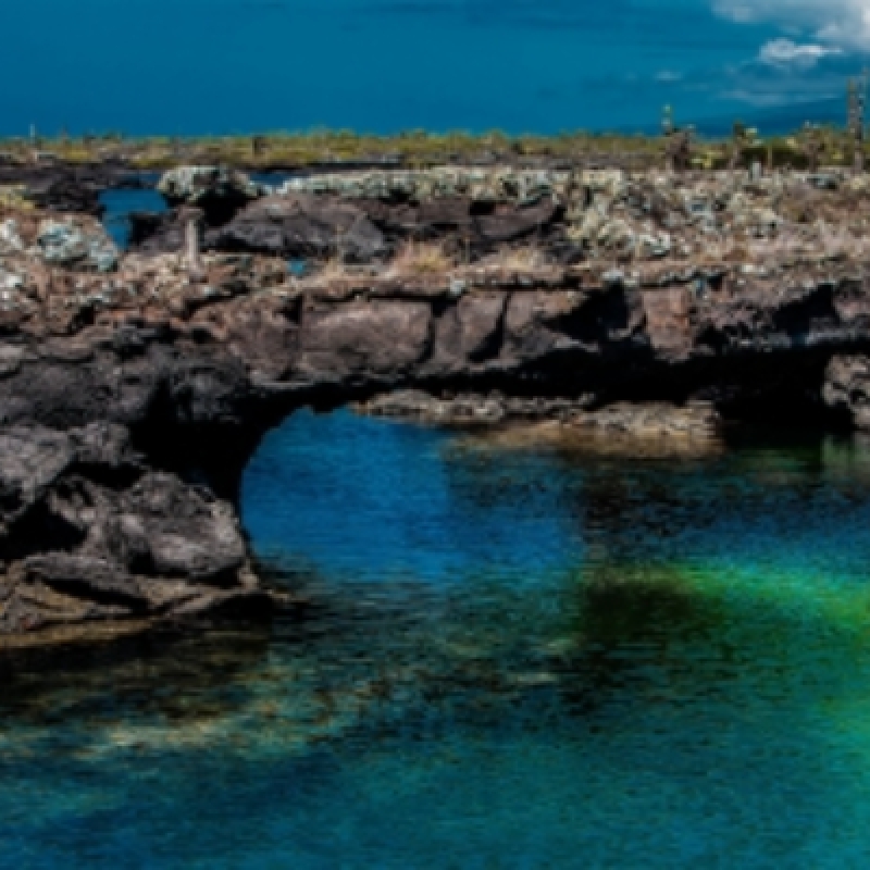 5 Days Galapagos Expedition Tour 6