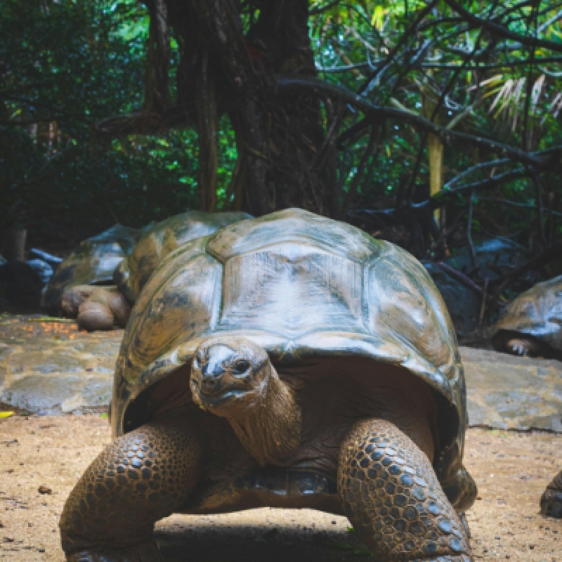 5 Days Galapagos Expedition Tour 7
