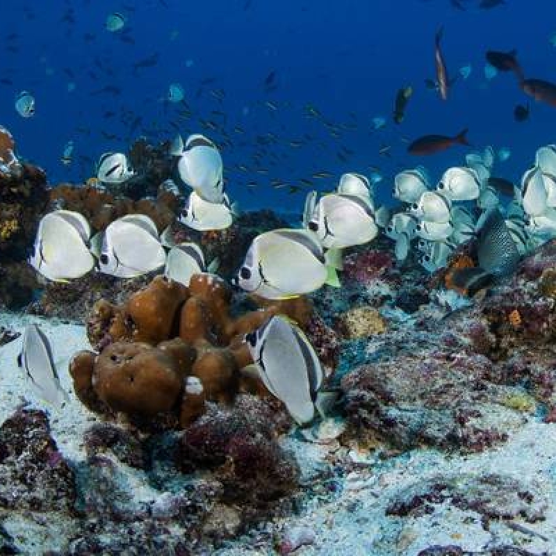 5 Days Adventure Trip in Galapagos 1