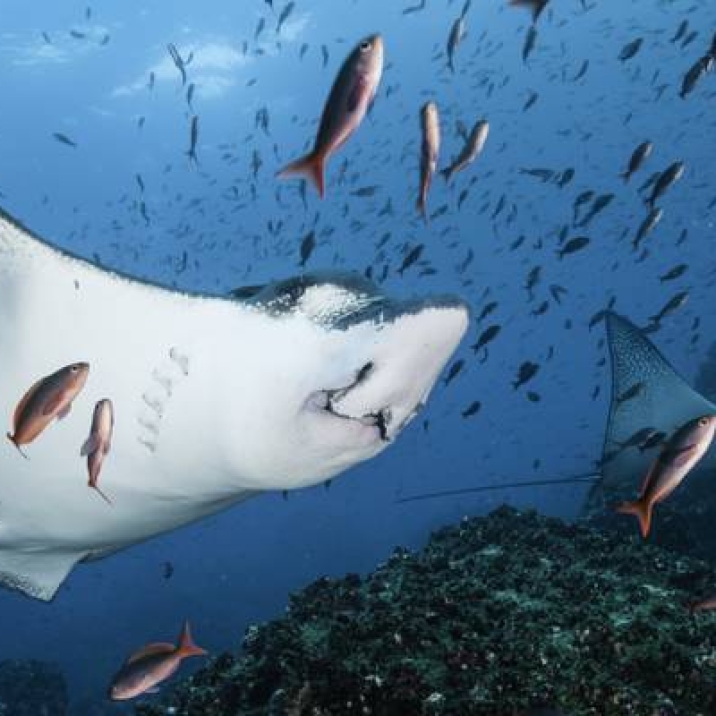 5 Days Adventure Trip in Galapagos 2