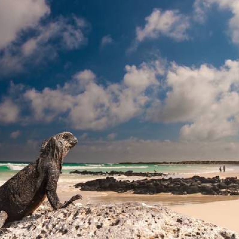 5 Days Adventure Trip in Galapagos 3