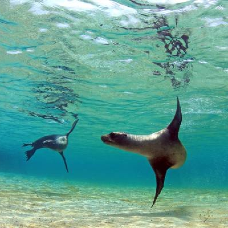 5 Days Adventure Trip in Galapagos 4