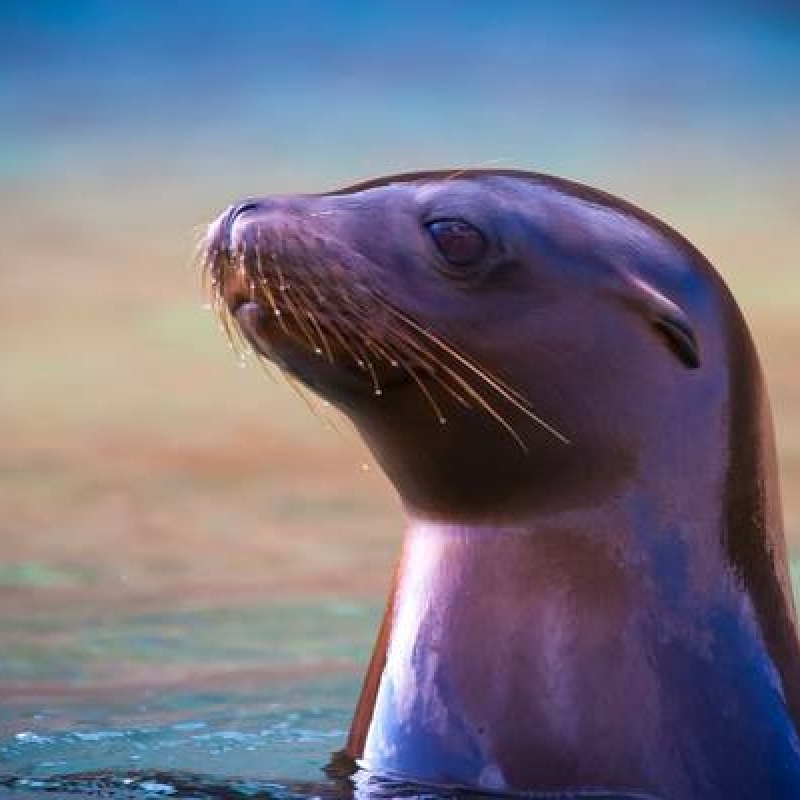 5 Days Adventure Trip in Galapagos 5