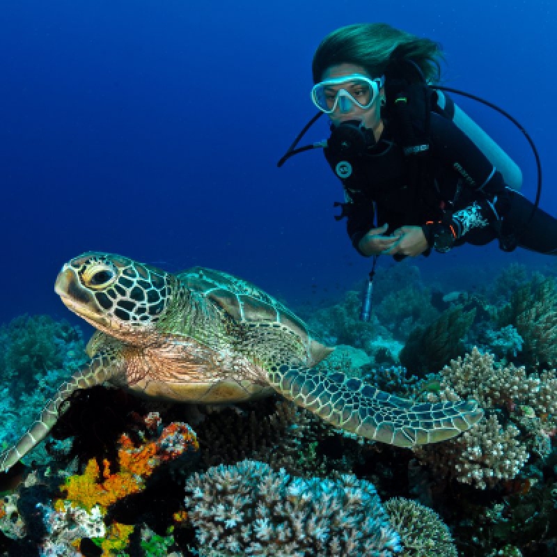 5 Days Adventure Trip in Galapagos 8