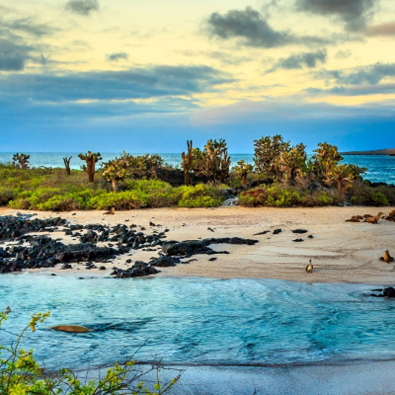 6 Days: Exploring Santa Cruz (Budget-Friendly Solo Adventure) 7