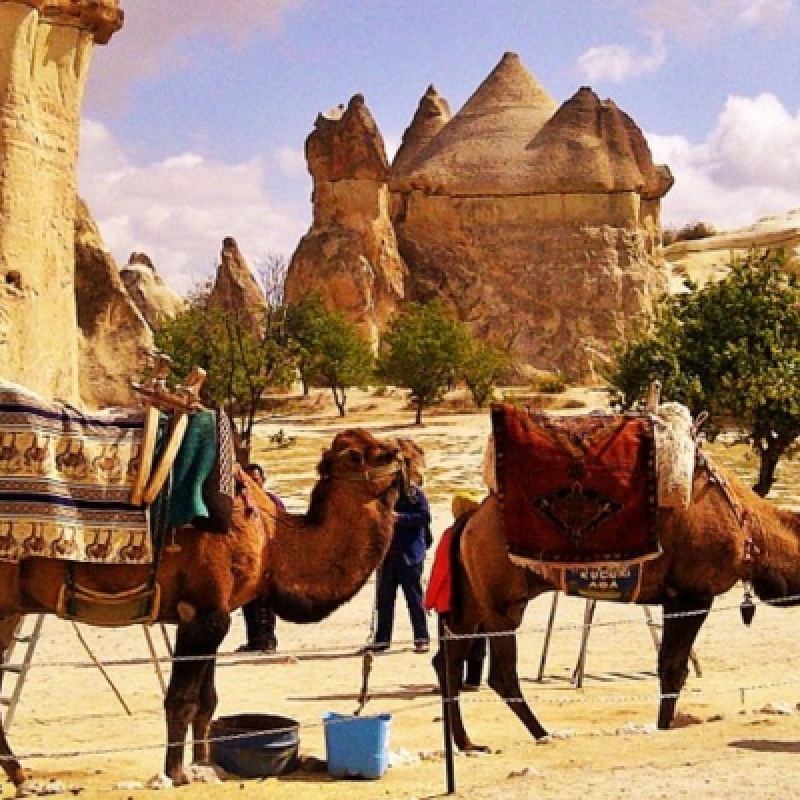 Daily Cappadocia Sunrise Or Sunset Two Hours Camel Riding (Including Transfer) 3