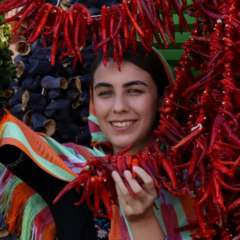 Daily Gaziantep City Tour from Mardin 1