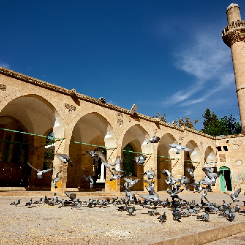 Daily Sanliurfa City Tour from Diyarbakir 4
