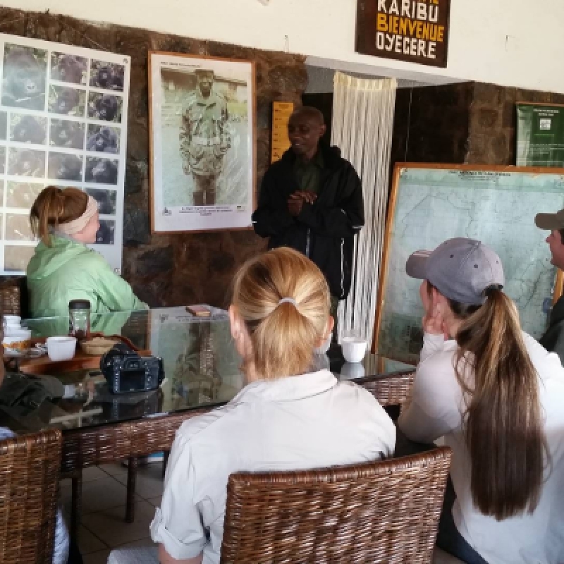Lowland Gorillas trek in Kahuzi-Biega (3days/2nights) 3
